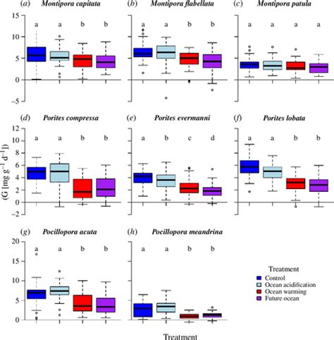 Widespread scope for coral adaptation under combined ocean 